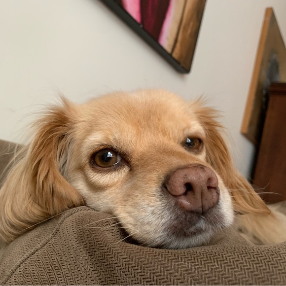 Meet your Posher, Staci - Picture 4 of 4